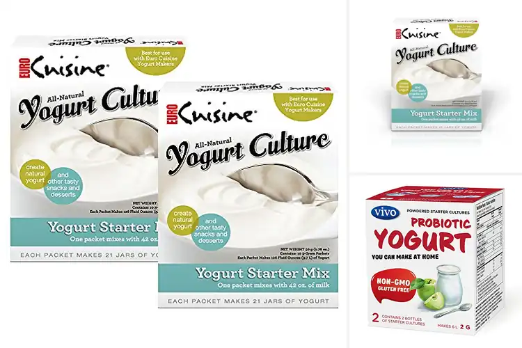 Detailed view of Best All-Natural Yogurts