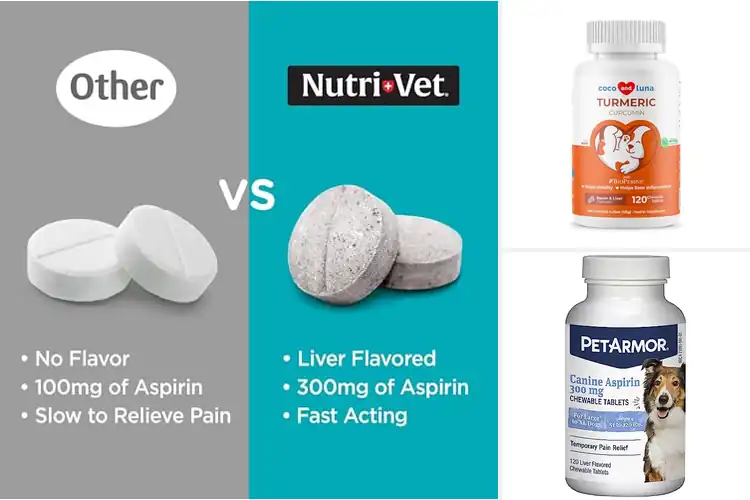 Detailed view of Best Anti-Inflammatory Pet Products