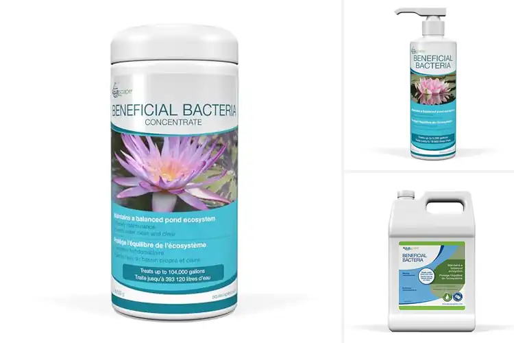Detailed view of Best Beneficial Bacteria Technologies