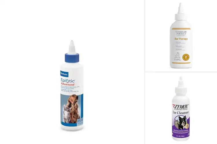 Detailed view of Best Cat Ear Cleaning Solutions for Healthy, Happy Ears