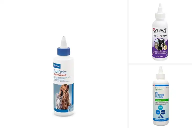 Detailed view of Best Gentle Ear Solutions For Cats