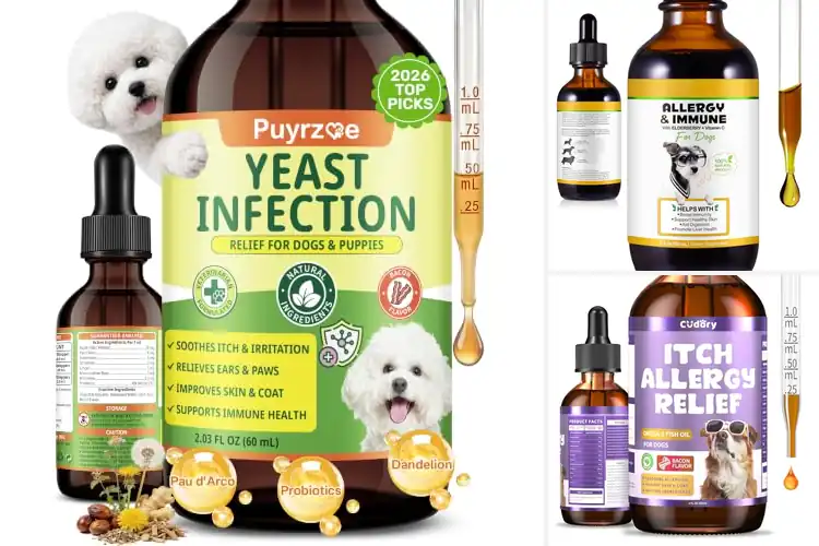 Detailed view of Best Itch Relief Drops For Dogs