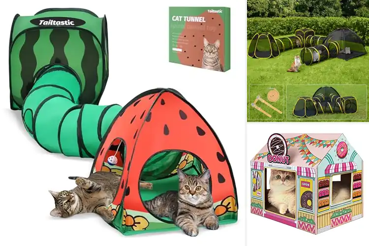 Detailed view of Best Large Cat Playhouses: Create Safe Fun for Your Big Cat