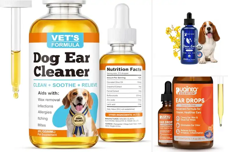 Detailed view of Best Natural Ear Drops For Dogs