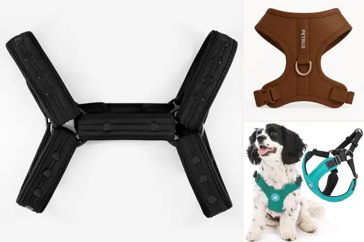 Detailed view of Best Neoprene Harnesses: Top 10 for Comfort & Style