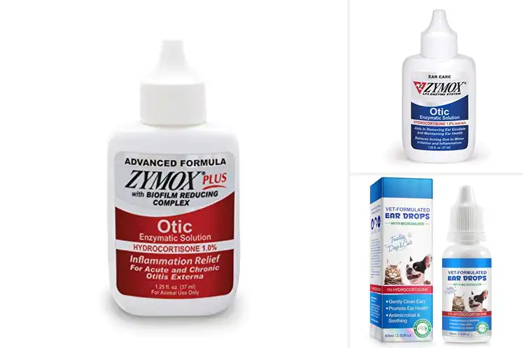 Detailed view of Best Pet Ear Infection Treatments