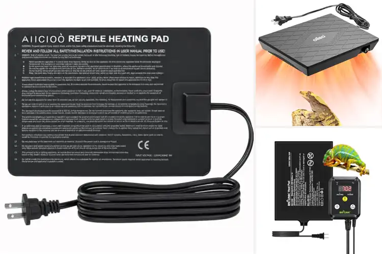 Detailed view of Best Reptile Heaters